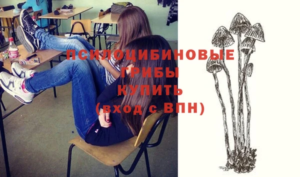 прущая мука Абинск
